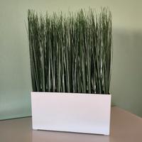 vaso ikea con pianta verde