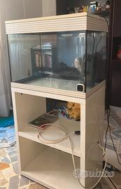 Acquario con mobiletto 