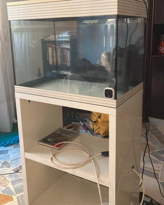 Acquario con mobiletto 