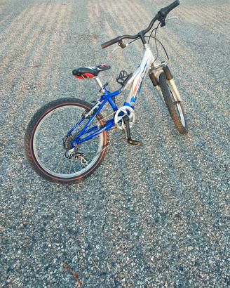 Bicicletta bambino 20 pollici 