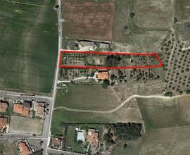 Area zona "C" da lottizzare
