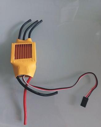 ESC 100A