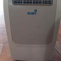 climatizzatore portatile 