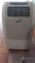 climatizzatore portatile 