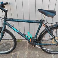 Mountain Bike Vintage 