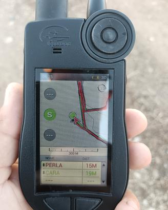 radiocollare satellitare tek 2