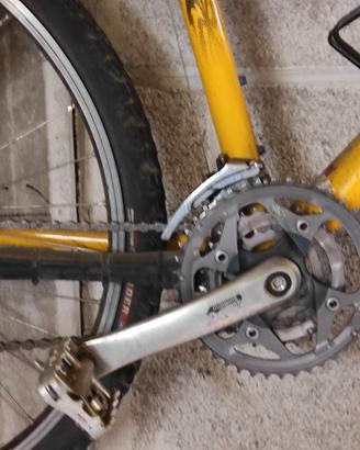 Mountain bike lee cougan