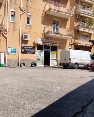 Ampio locale commerciale con spazi esterni