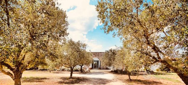 Matera /Metaponto/posti letto/casa vacanza