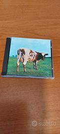 CD pink floyd