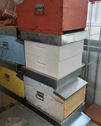 ARNIE , MELARI, MATURATORE