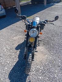 mash250
