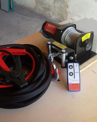 VERRICELLO ELETTRICO 12V