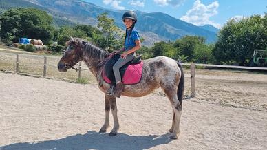 Pony 1.28