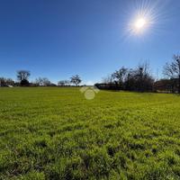 TER. AGRICOLO A BRESCELLO