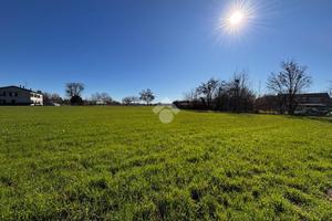 TER. AGRICOLO A BRESCELLO