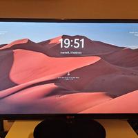 Monitor LG 23 pollici Ips Led 23EA63V-P