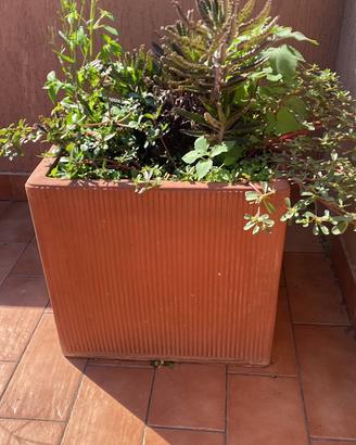 Vasi in Terracotta