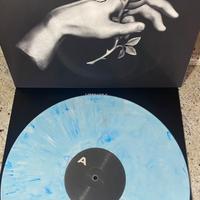 Vinile liberato II