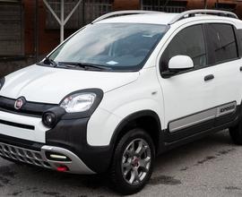 FIAT Panda Cross 0.9 TwinAir Turbo S&S 4x4