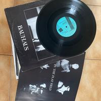 Bauhaus - in the flat field