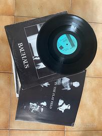 Bauhaus - in the flat field