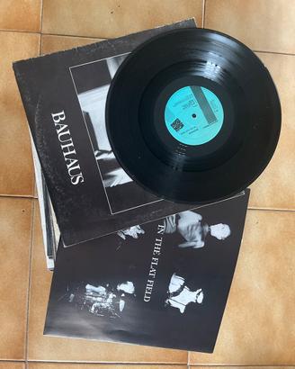 Bauhaus - in the flat field