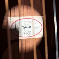 Taylor GS Academy  tutta  in Noce