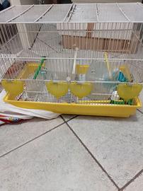 Gabbia per Volatili