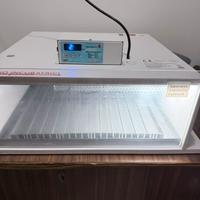 Incubatrice maino 56 t