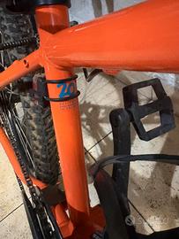 Bicicletta bimbo 20