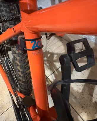 Bicicletta bimbo 20