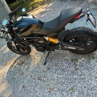 Ducati monster 797