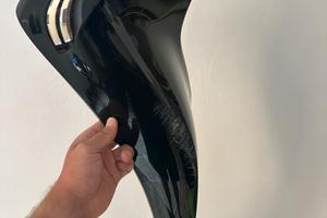 Carene sh 125/150 2020