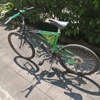 mountain bike originale Bianchi Thomisus