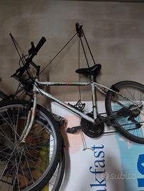 Bicicletta mountain bike