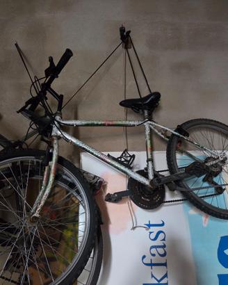 Bicicletta mountain bike