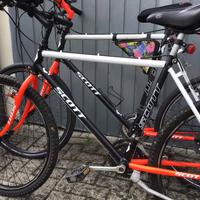 coppia bicicletta mtb