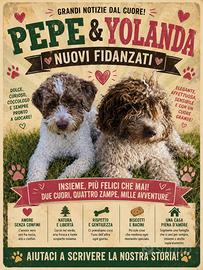 Lagotto romagnolo