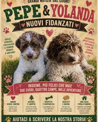 Lagotto romagnolo