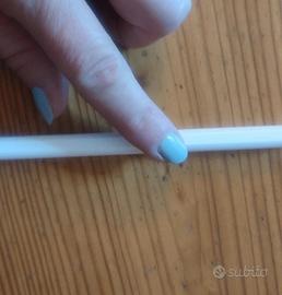 Apple Pencol for iPad.
