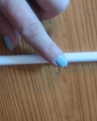 Apple Pencol for iPad.