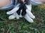 Immagine 5