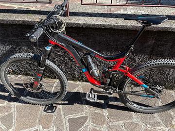 Mountain bike