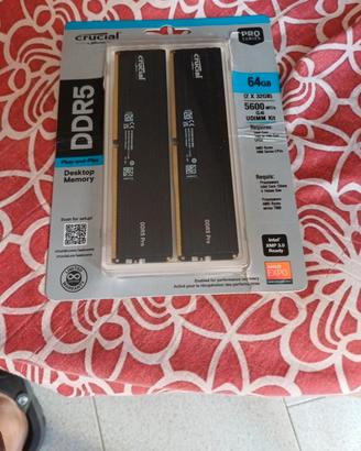 crucial ddr5 