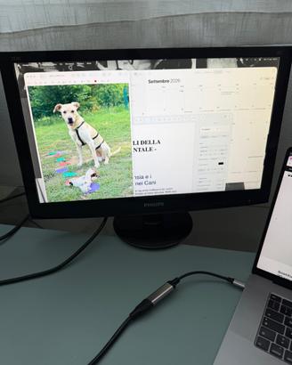 Monitor 22” philips
