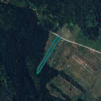 Terreno a Faleria (VT) - LOTTO 1