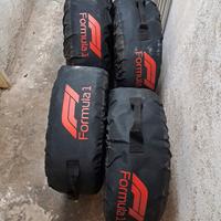gomme da neve