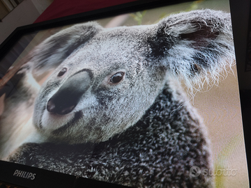 Philips Monitor touch 107 cm 42" dvi vga hdmi