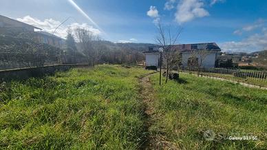 Terreno rustici
